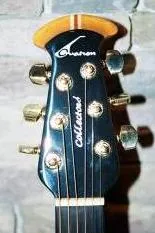 2001 collector's headstock