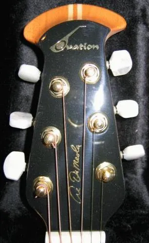1769 Al Di Meola Head