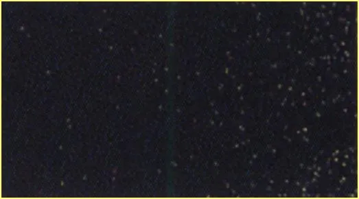 5-Black 1 Color