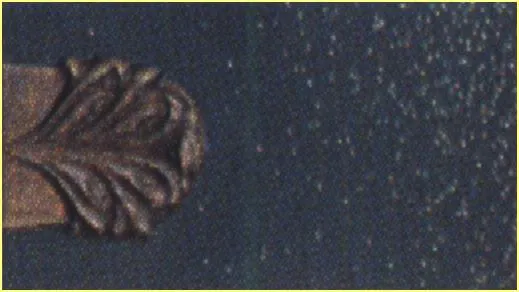 5-Black Color