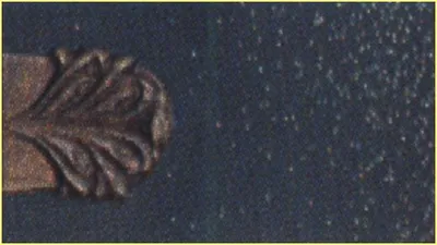 5 Black