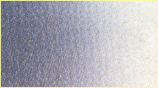 7-Beige 1 Color