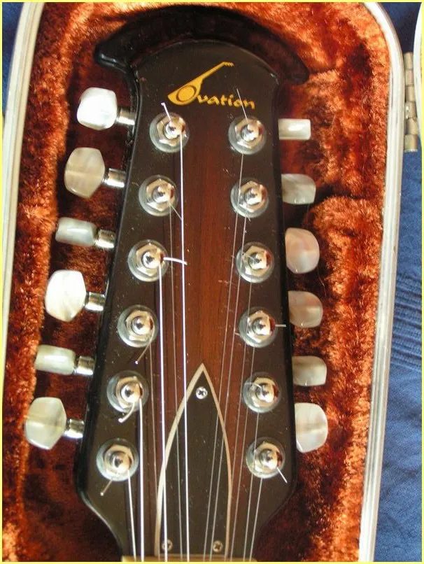 Deacon 12 Strings Truss Rod Cover