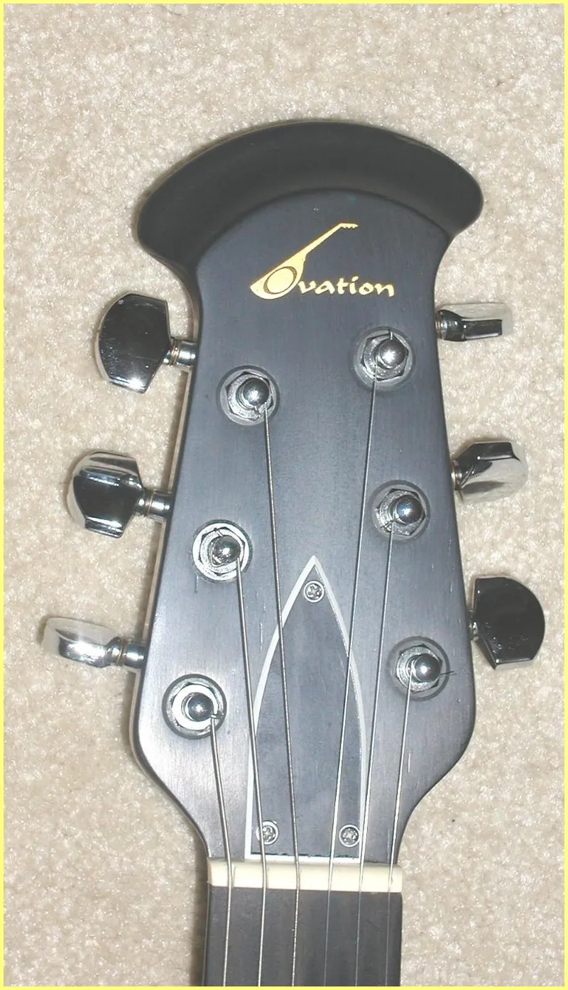 Preacher Greyburst Truss Rod Cover