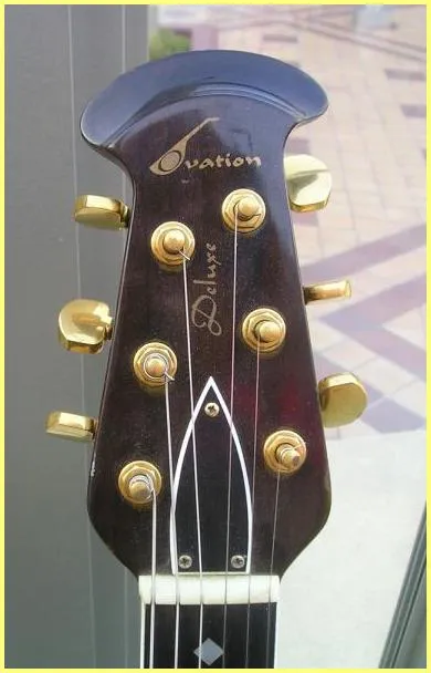 Thunderhead Truss Rod Cover