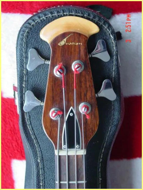 Typhoon II Bass Truss Rod Cover