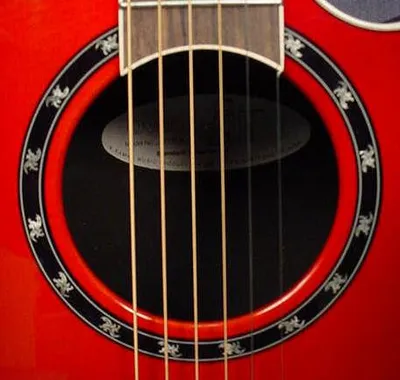 1771LX CC Rosette