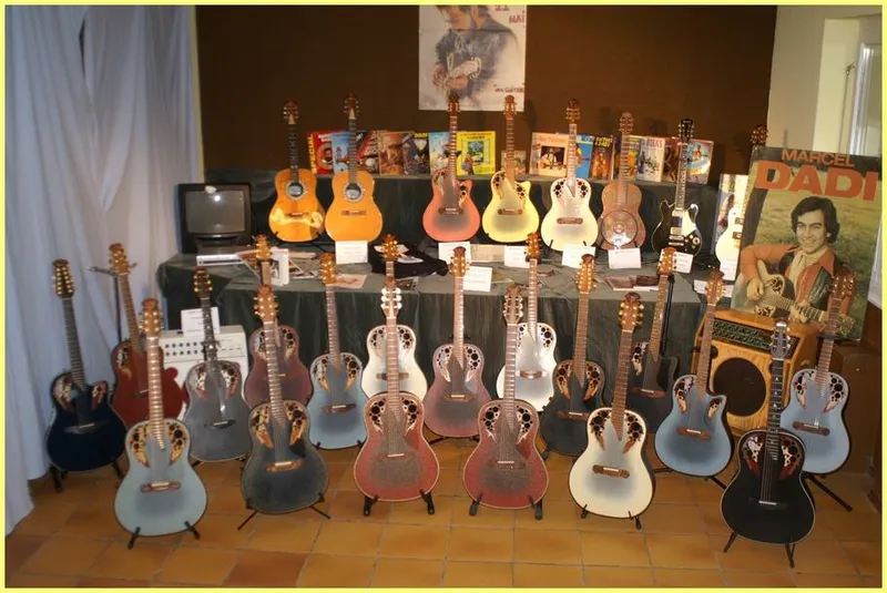 Guitar Pickers Association French Gathering