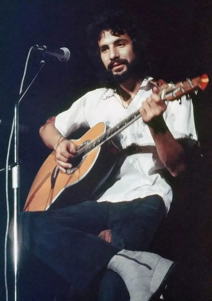 Cat Stevens