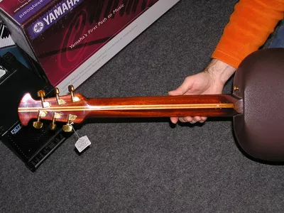 Image 6