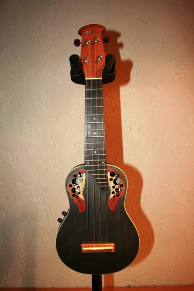 Image 1
