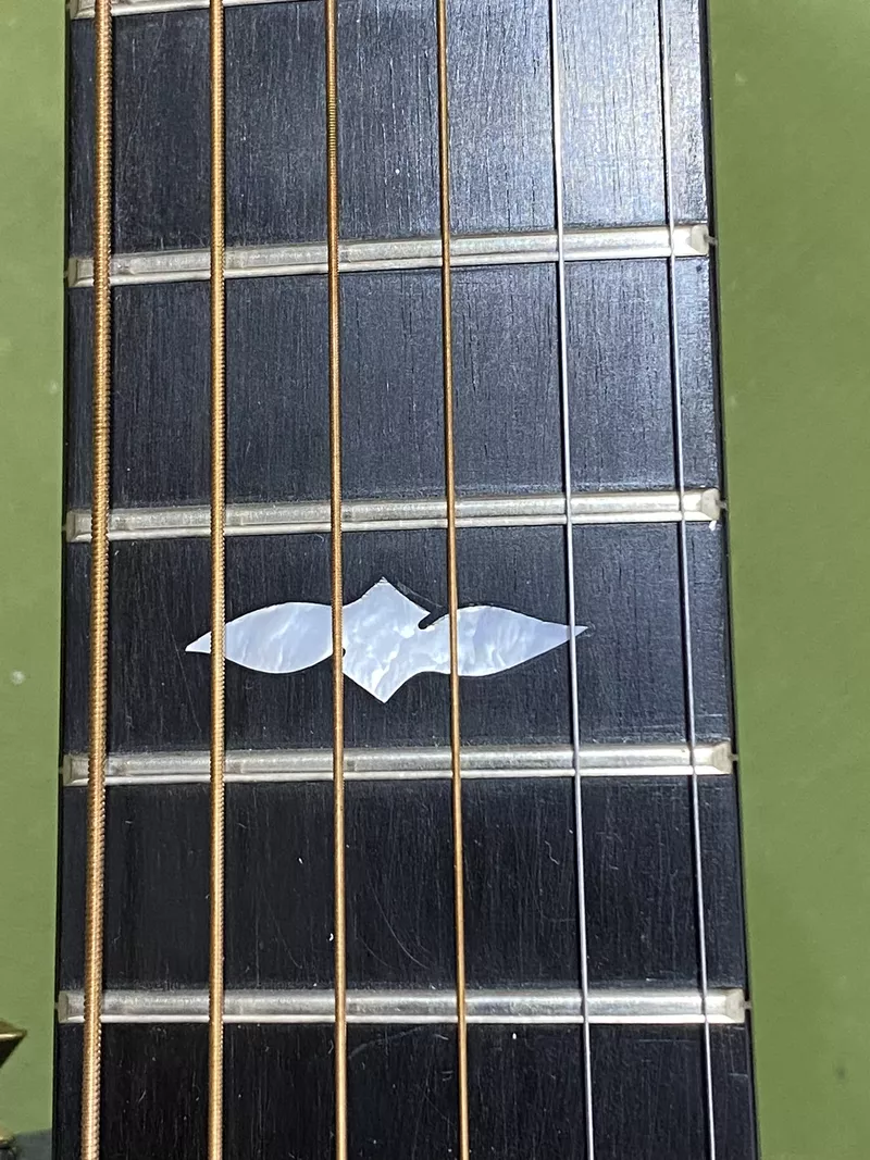 1999 Collector's Inlay